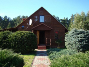 Holzhütte mit weitläufigem Garten am Wald, Kopalino